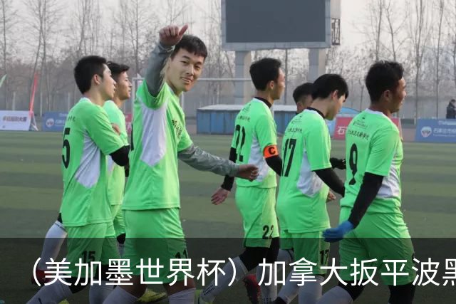 （美加墨世界杯）加拿大扳平波黑 获队史世界杯首分